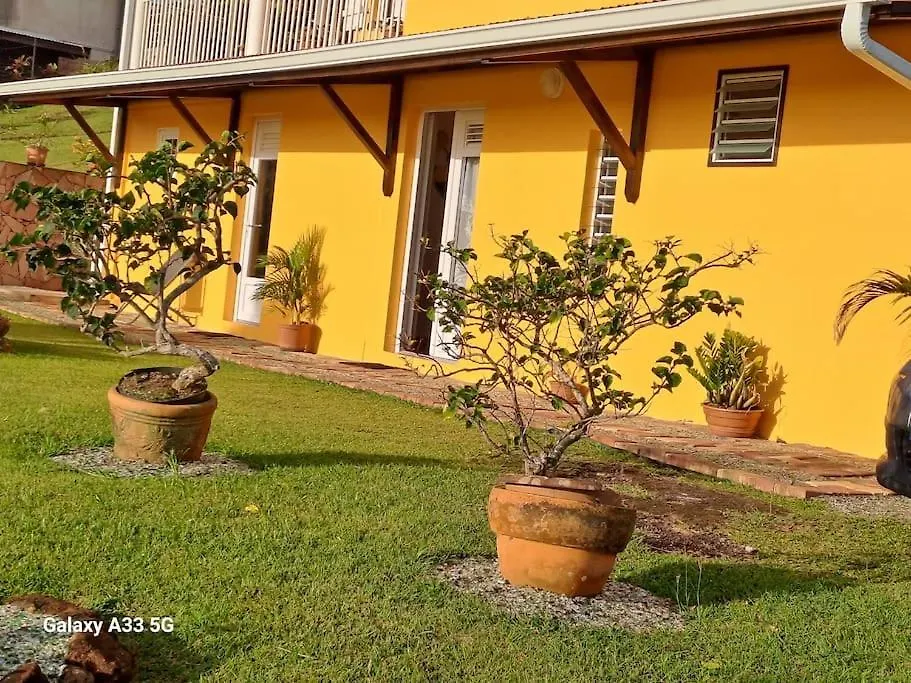 Appartement Entier En Martinique Le Khan Le Robert Apartment