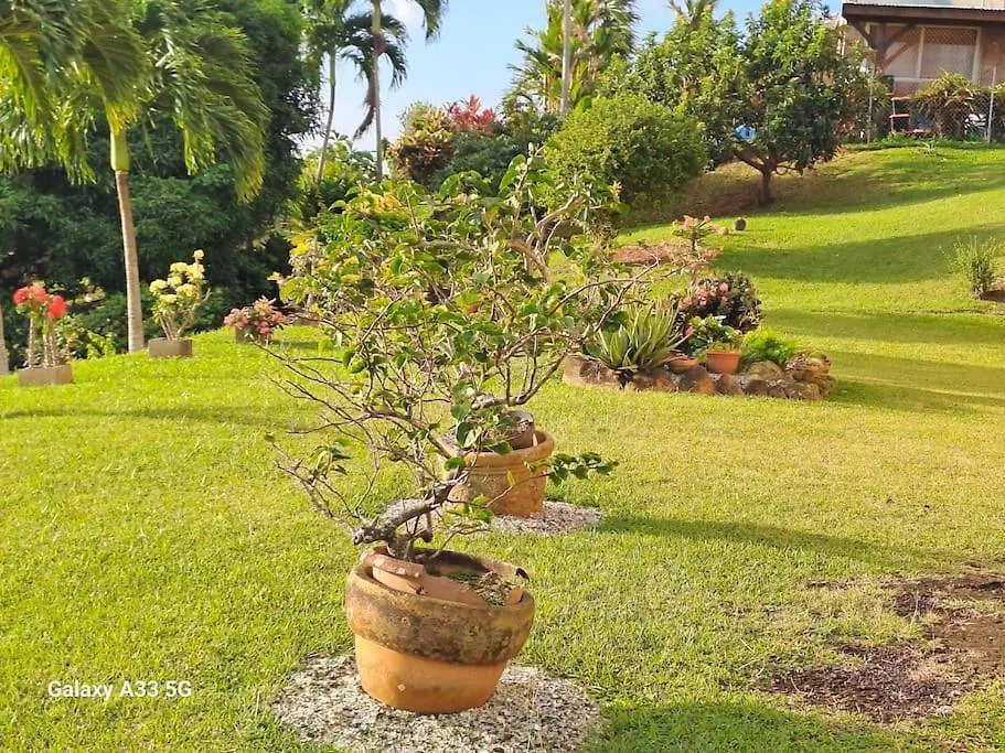Appartement Entier En Martinique Le Khan Le Robert Apartment