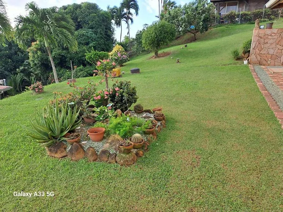 Apartment Appartement Entier En Martinique Le Khan Le Robert Martinique